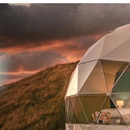 Caravans Park & Glamping Tents In The Vineyard Villa Turda Ngoại thất bức ảnh