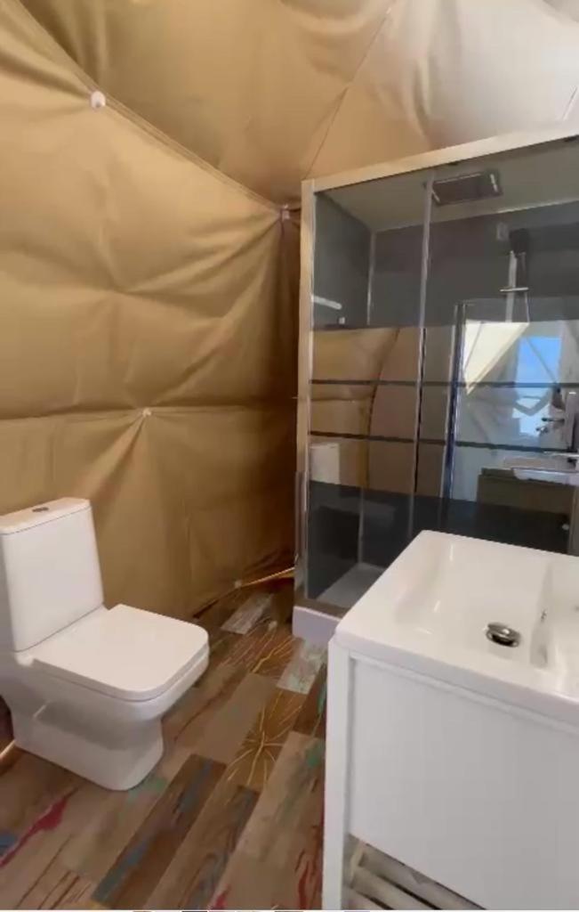 Caravans Park & Glamping Tents In The Vineyard Villa Turda Ngoại thất bức ảnh