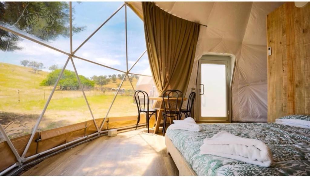 Caravans Park & Glamping Tents In The Vineyard Villa Turda Ngoại thất bức ảnh