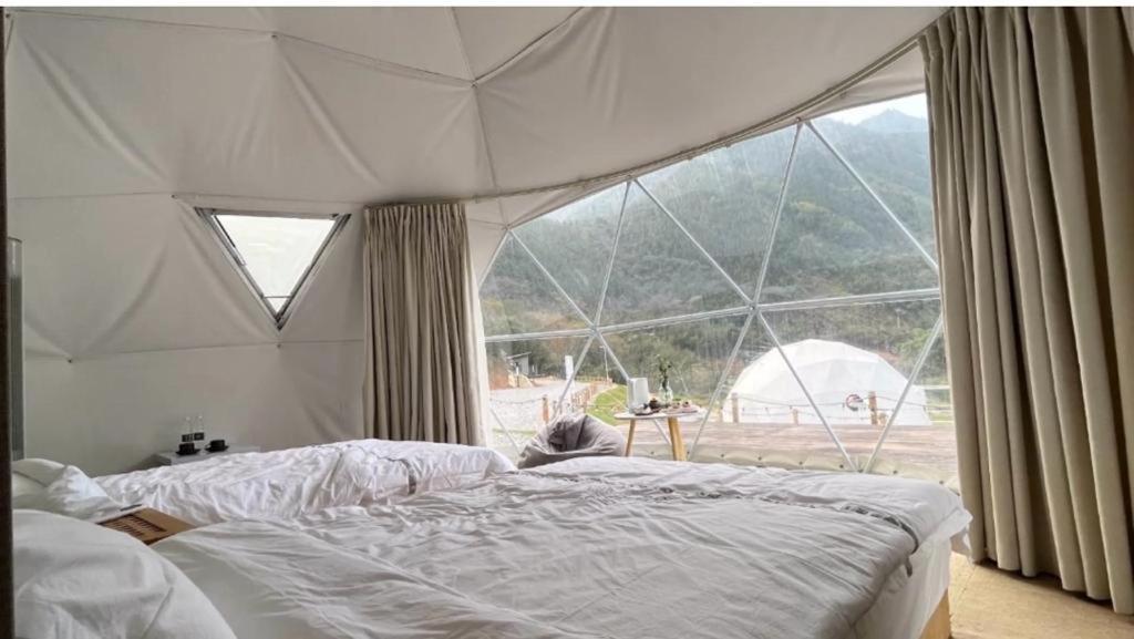 Caravans Park & Glamping Tents In The Vineyard Villa Turda Ngoại thất bức ảnh