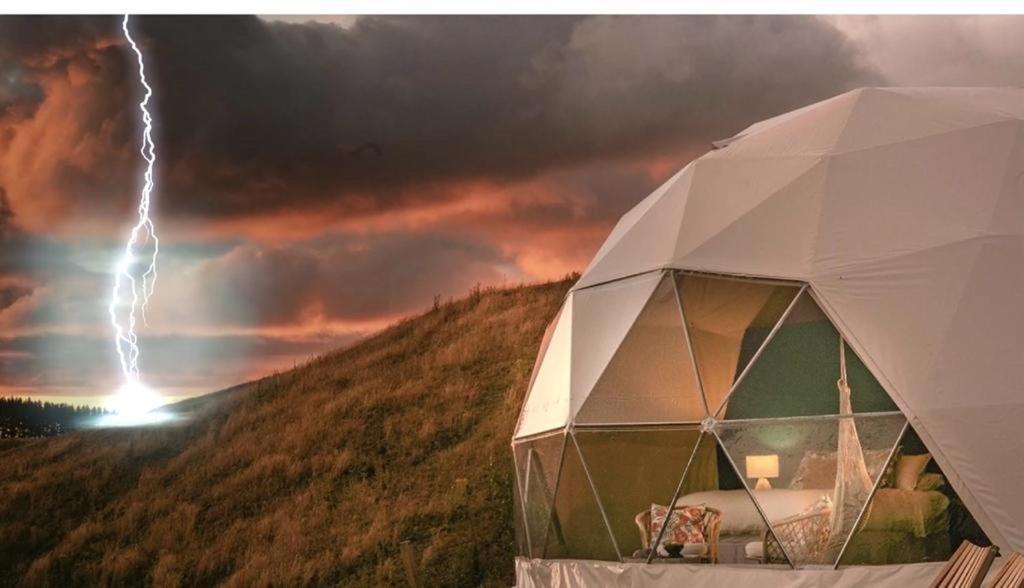 Caravans Park & Glamping Tents In The Vineyard Villa Turda Ngoại thất bức ảnh